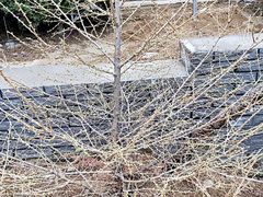 -大连步云山老汤度假山庄