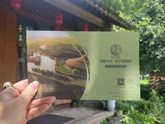-乌村