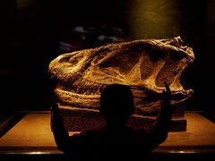 -自贡恐龙博物馆