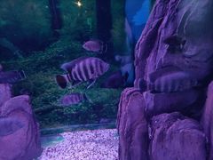 -常州海昌海洋探索馆