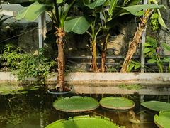 -国家植物园南园