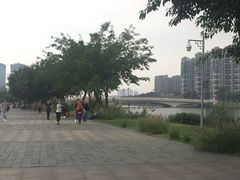 -眉山湿地公园(东坡区)