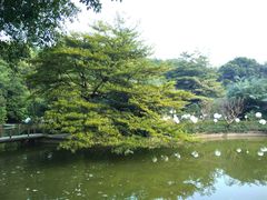-广州雕塑公园