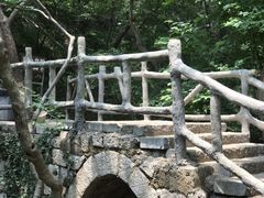 -皇藏峪国家森林公园
