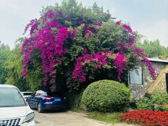 -茅庐·川粤精品私房菜(金沙遗址店)