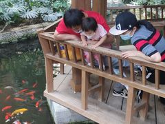 -南宫五洲植物乐园