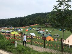 -武陵山森林公园