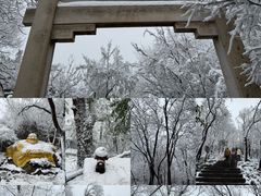 -紫金山山顶公园