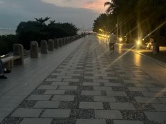 -深圳湾公园(南山区)
