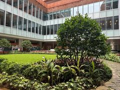 -香港大学