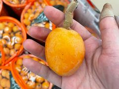 -西郊国际农产品交易中心