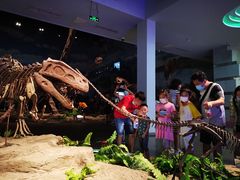 -自贡恐龙博物馆