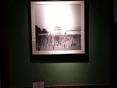 -上名堂·鱼头好吃(体育场路店)