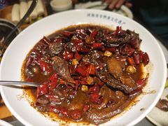-三强鸽子(中原路店)