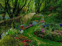 -上海共青森林公园