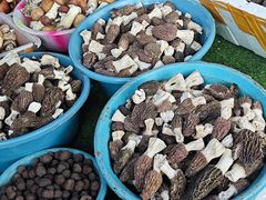 -南坛综合农贸市场