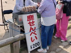-奈良公园