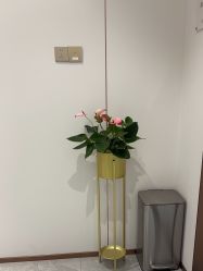 -禾丽康美医疗美容医院