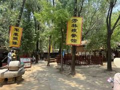 -微山湖红荷湿地景区