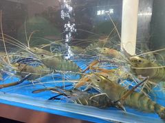 长沙有特色罗氏虾主题餐厅-大盆罗氏虾