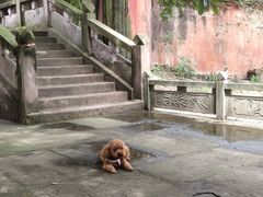 -金堂县云顶石城风景区