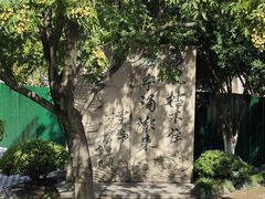-观潮胜地公园