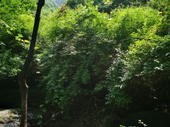 -龙门涧景区