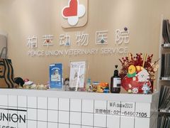 -柏萃动物医院·骨科·牙科