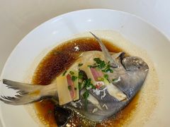 清蒸大白雕-樱苑(四川北路店)