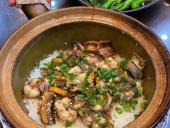 -红星光发煲仔饭(文海店)