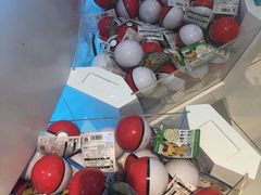 -超级宝可梦中心(东京店)