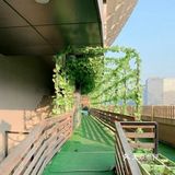 嗨玩六一||COCO天空农场