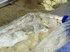-叶氏麻糍(鼓浪屿店)