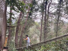 -芦仙山景区-飞越丛林探险乐园