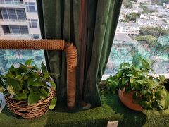 -烛影拾光观景餐厅·创意菜·摄影·小提琴(大唐不夜城店)