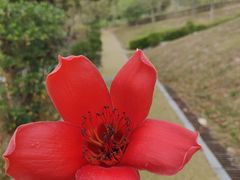 -中国移动南方基地