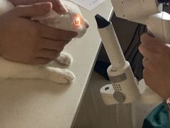 -御宝贝24h宠物医院·转诊中心·CT核磁血透中心(厦门总院)