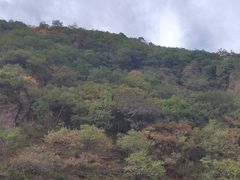 -妙峰山风景名胜区