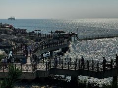 -养马岛旅游度假区
