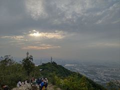 -紫金山山顶公园