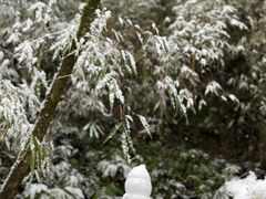 -西岭雪山大飞水景区