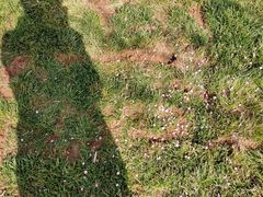 -君乐宝优致牧场