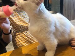 -凯德广场(武胜路店)