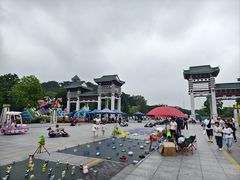 -王借岗森林公园