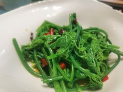 -晶泽丽琅·鱼鲜川菜(川师店)