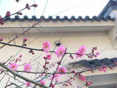 -东钱湖旅游度假区