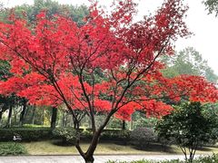 -重庆彩云湖湿地公园