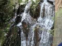 -藏龙百瀑风景区