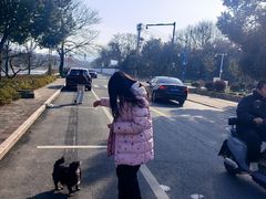 -京悦南门涮羊肉·羊蝎子火锅(田林路店)
