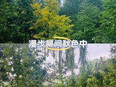 -海淀公园